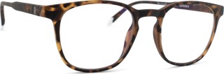 Barner Screen Dalston Tortoise