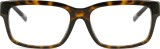 Dolce & Gabbana 0DG3352 502 57 22196