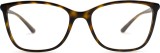 Dolce & Gabbana 0DG5026 502 54 10981