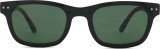 Izipizi Sun #Bay Black Olive 48280