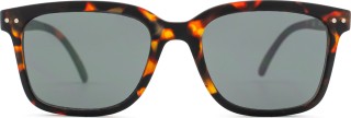 Izipizi Sun #L Tortoise