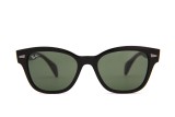 Ray-Ban RB0880S 901/31 52 22822