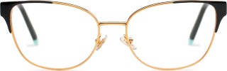 Tiffany&Co. 0TF1135 6007 53 10858